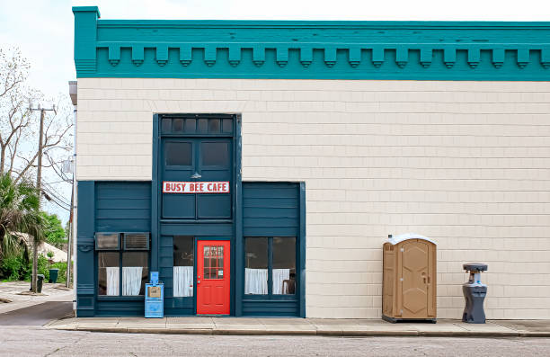 Best Sanitation services for porta potties  in Pinetop Lakeside, AZ